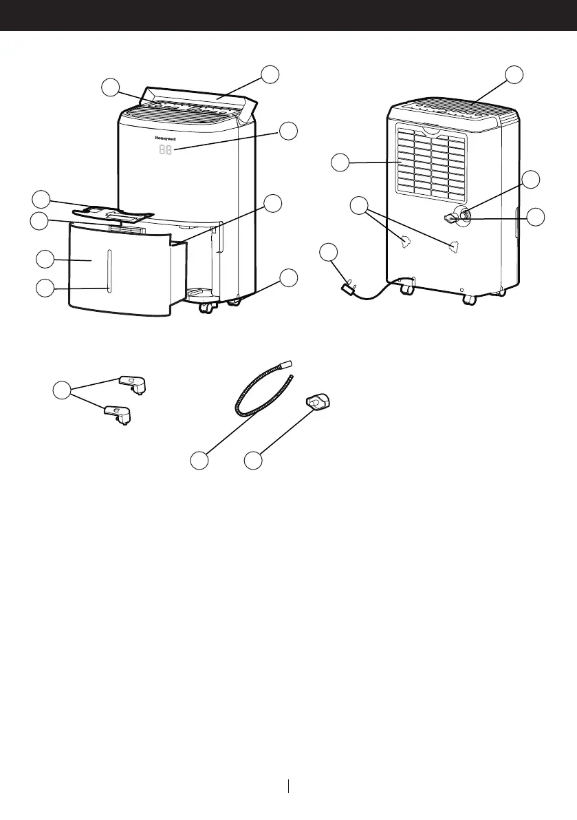 Page #10 background image