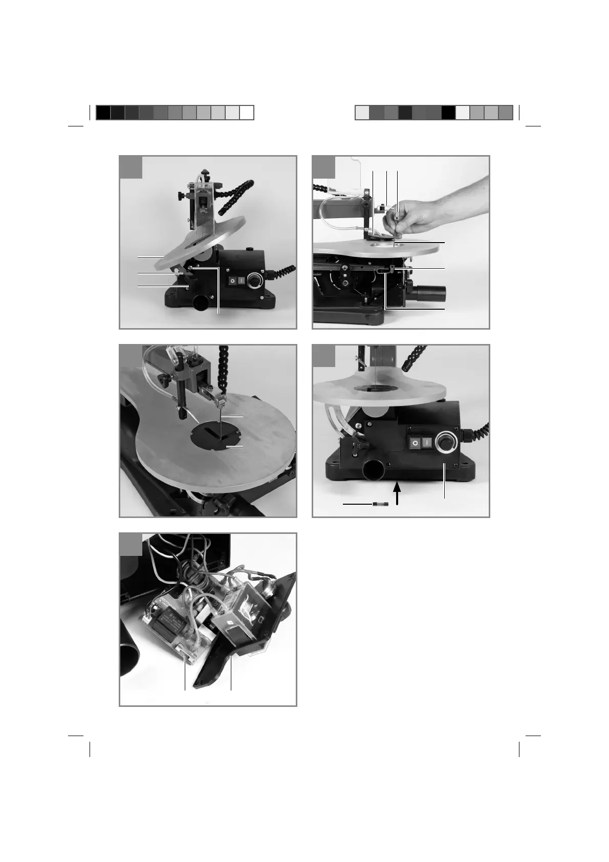 Page #4 background image