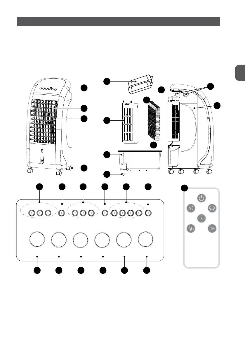 Page #5 background image