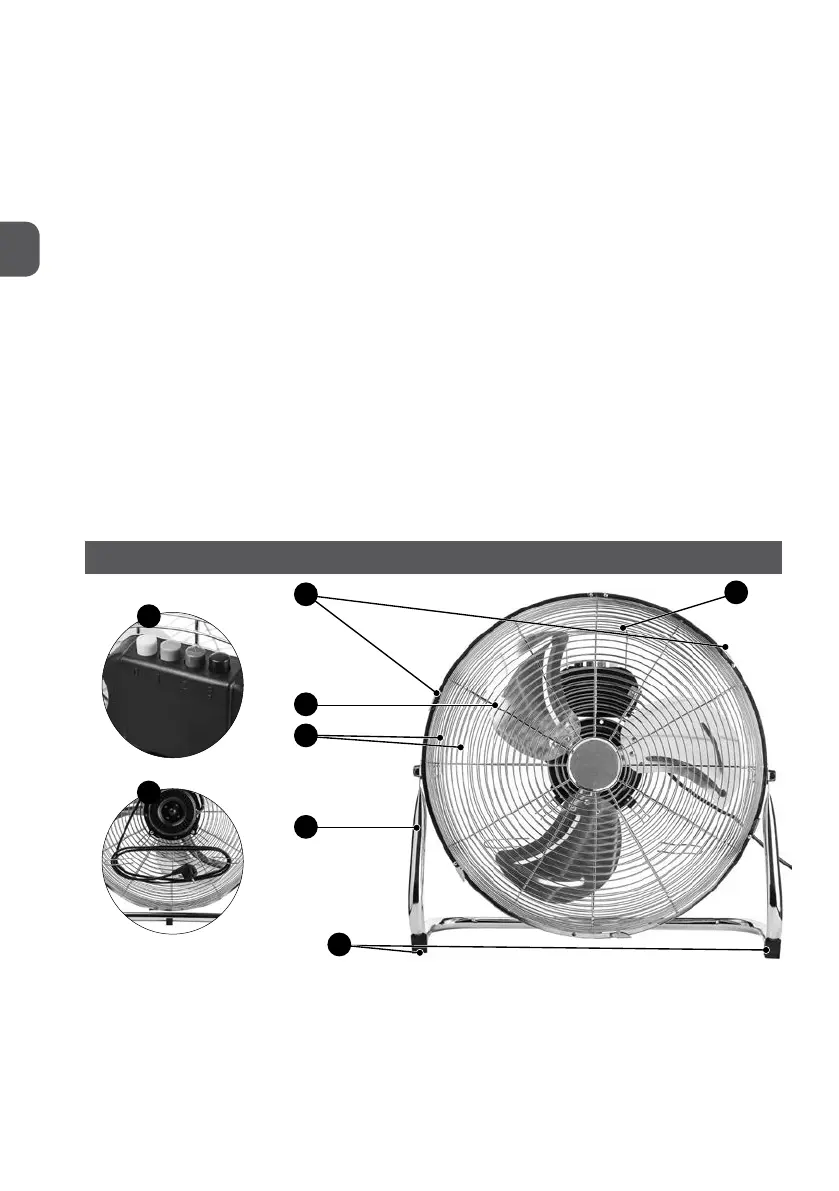 Page #4 background image