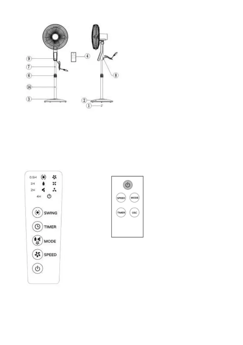 Page #24 background image