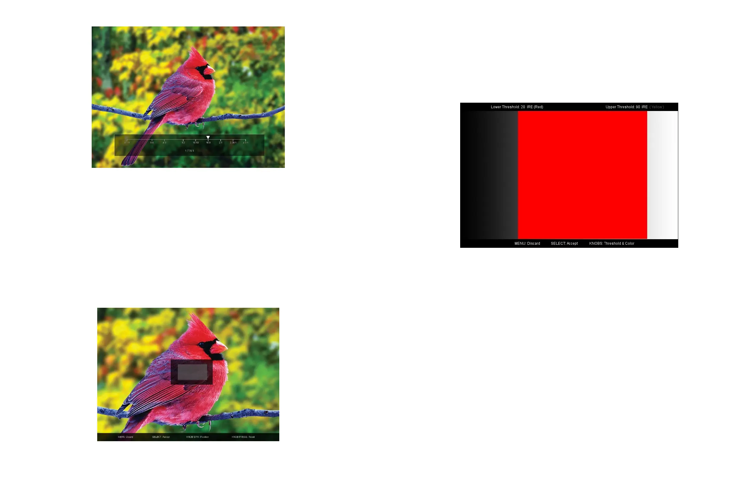 Page #12 background image