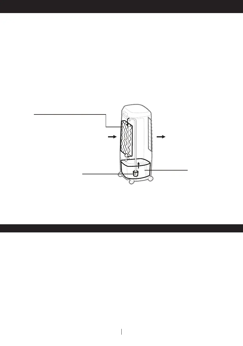 Page #19 background image