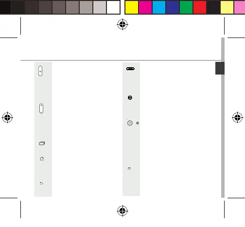 Page #37 background image
