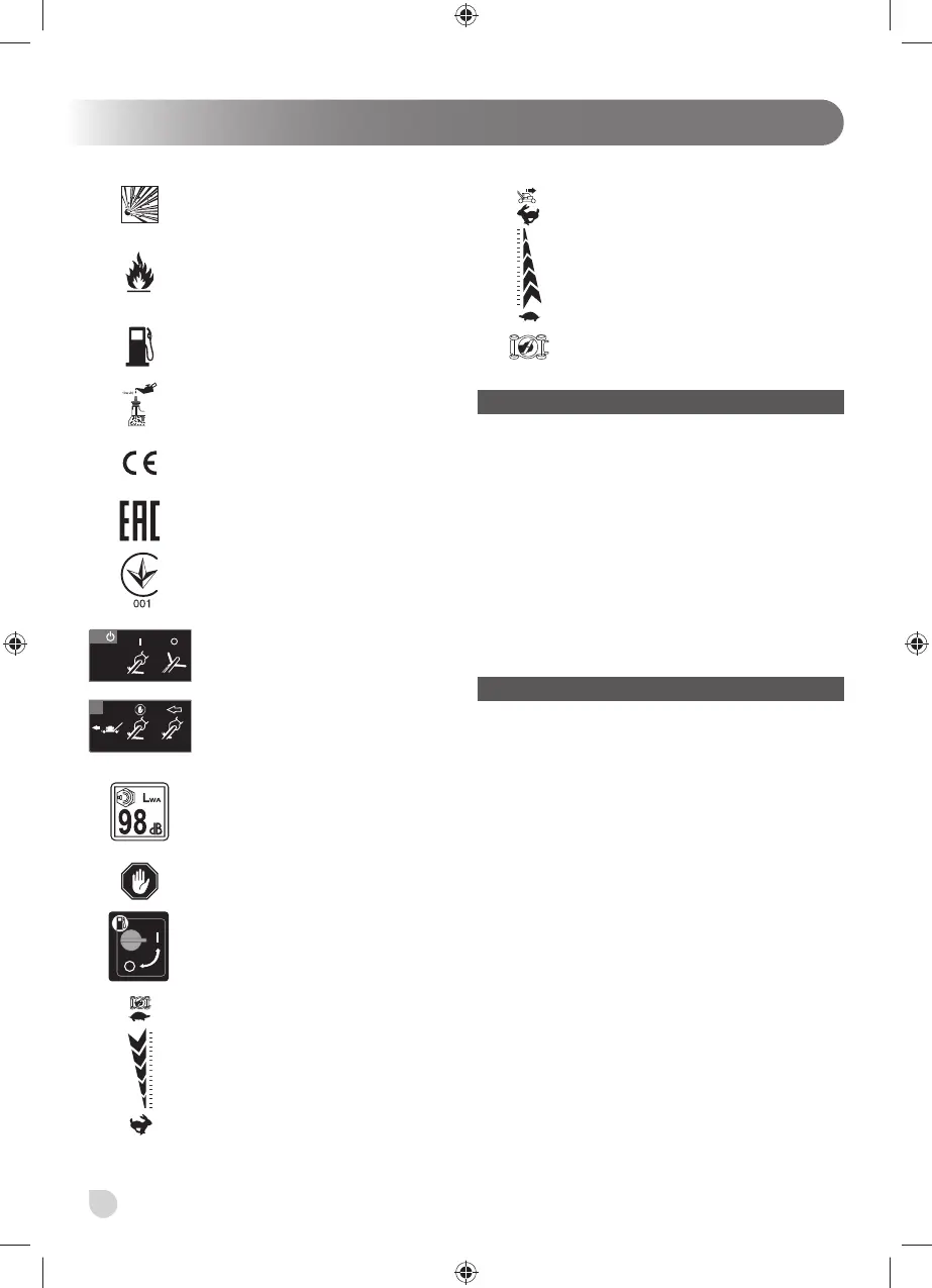 Page #264 background image