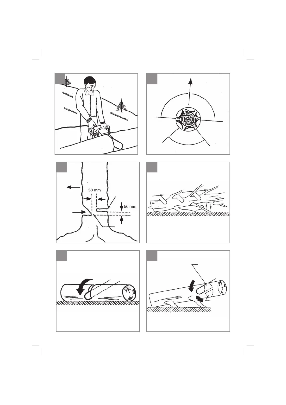 Page #5 background image