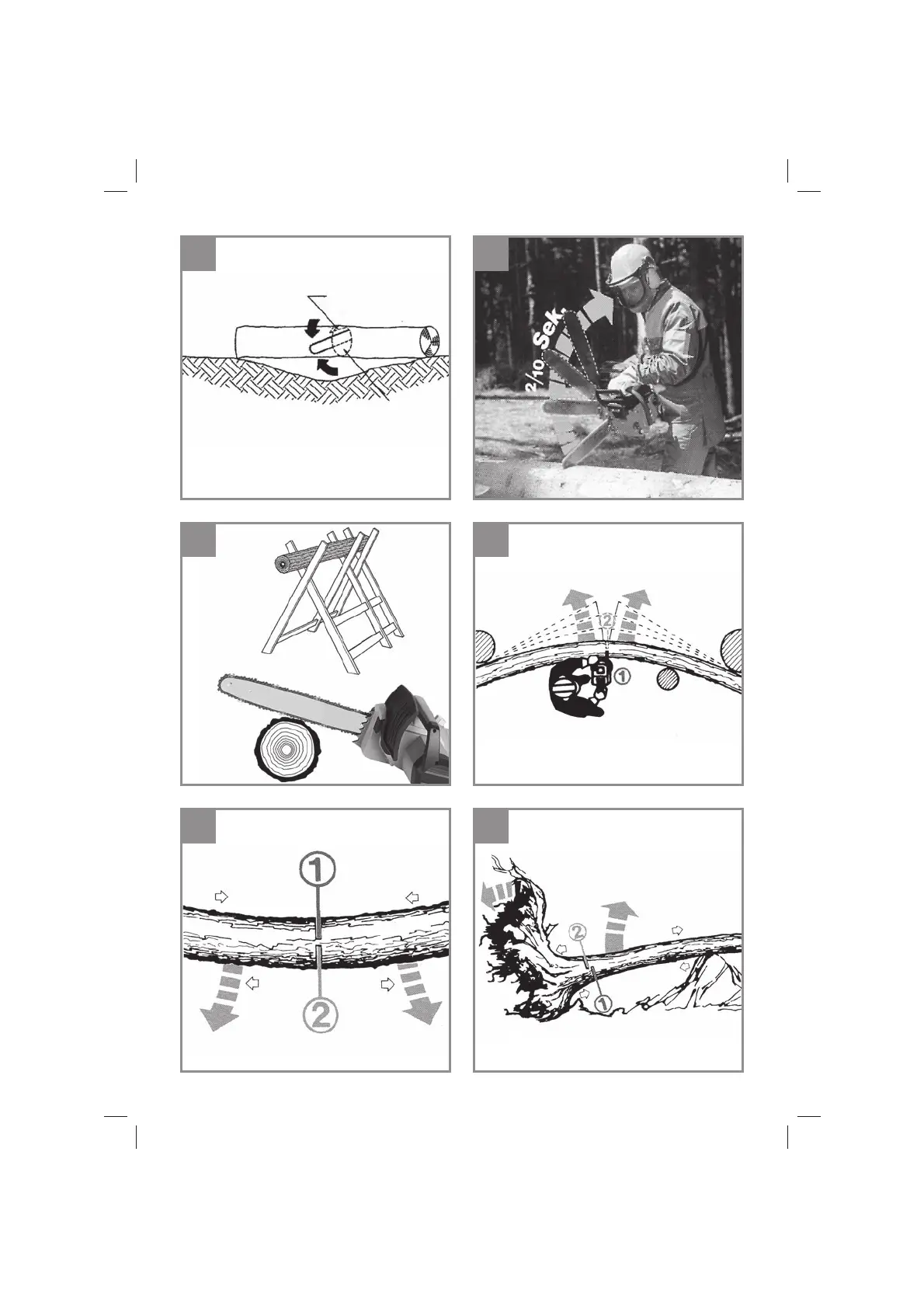Page #6 background image