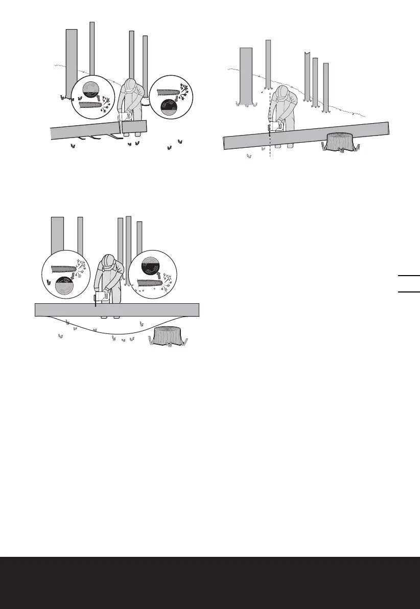 Page #155 background image