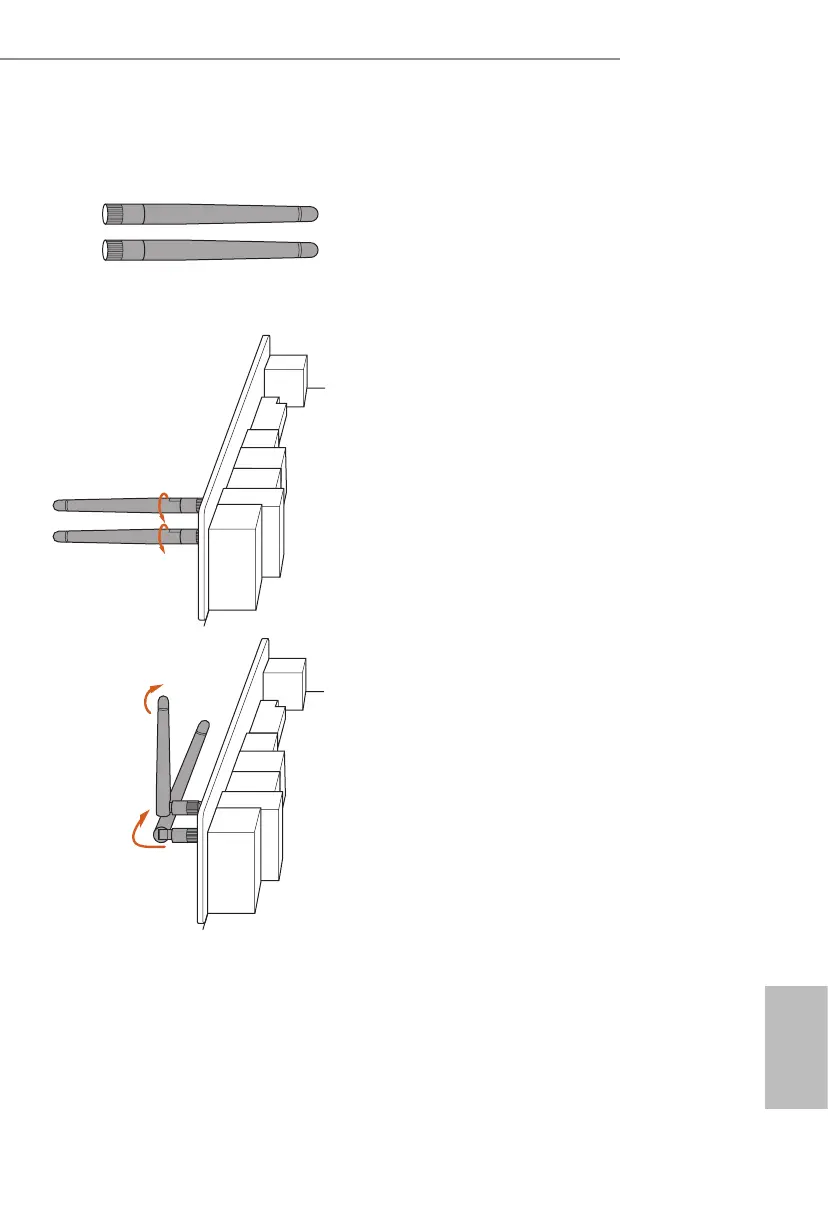 Page #19 background image