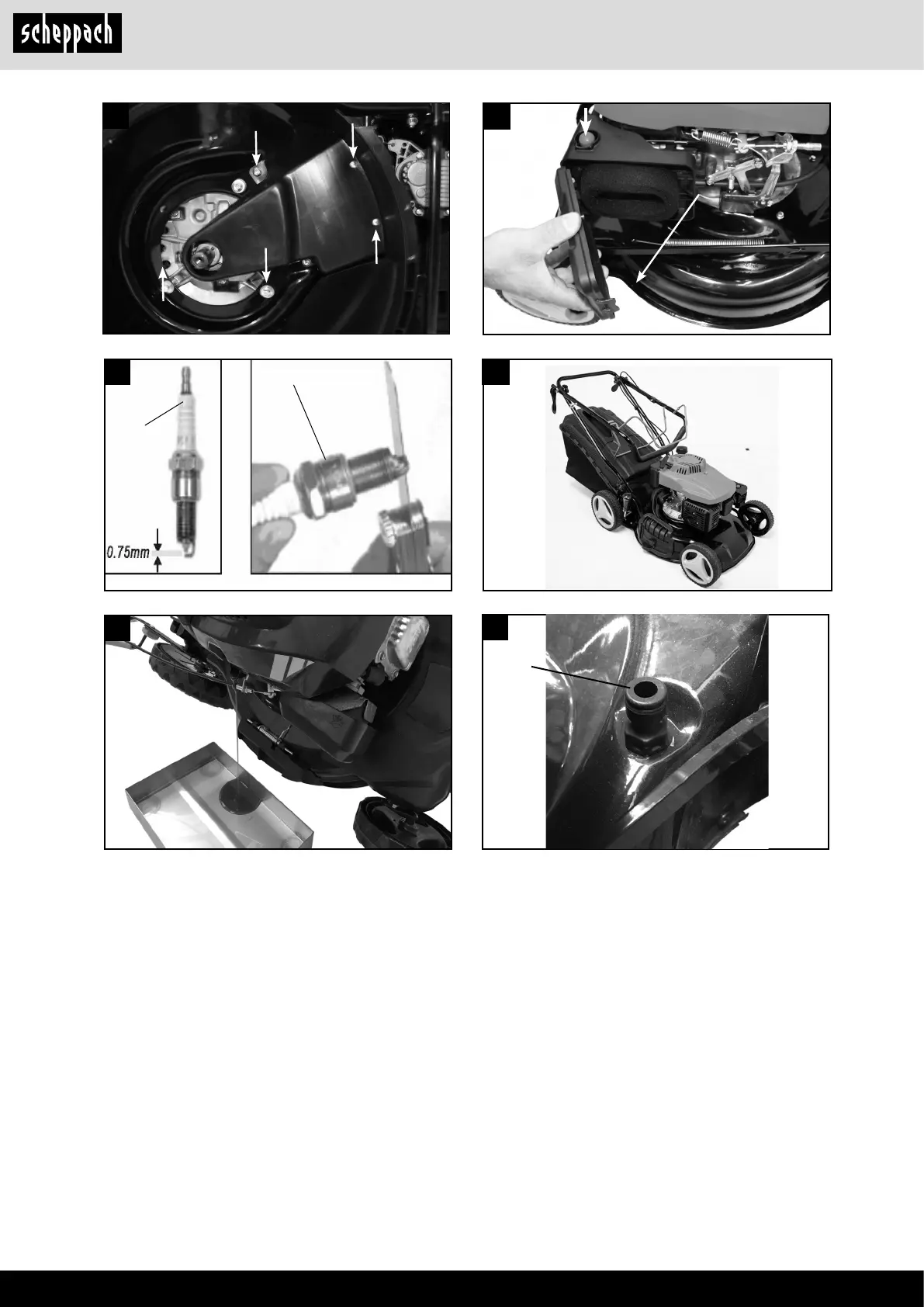 Page #6 background image