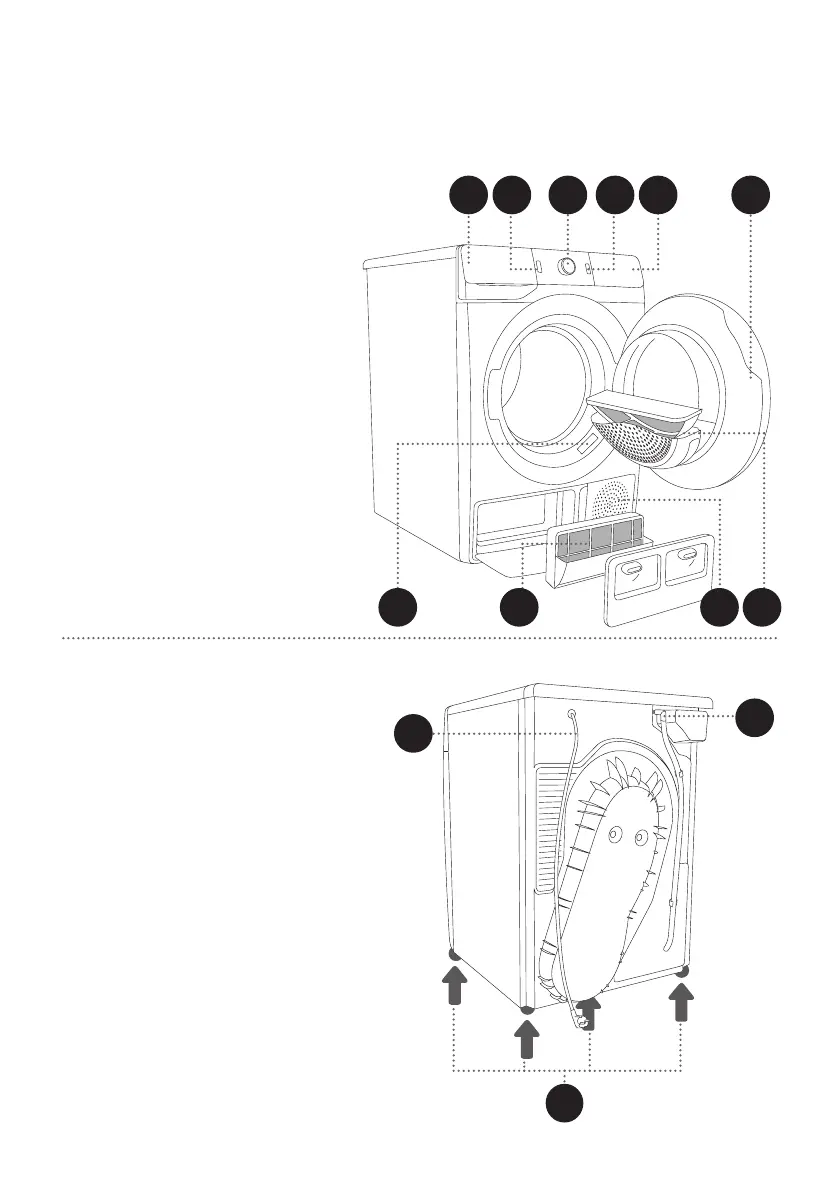 Page #12 background image
