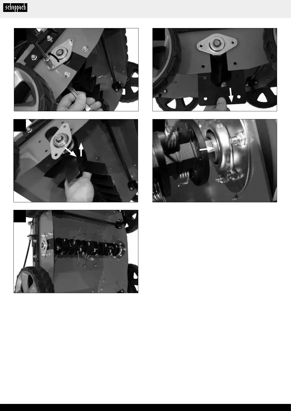 Page #6 background image