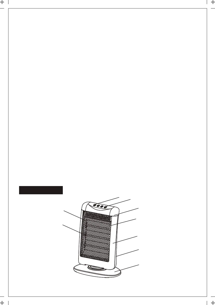 Page #12 background image