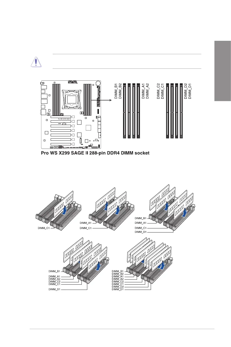 Page #19 background image