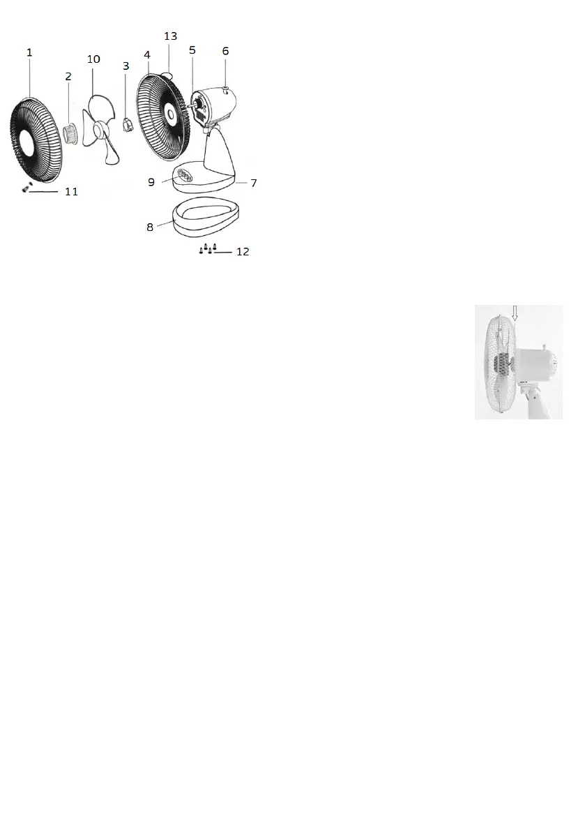 Page #6 background image