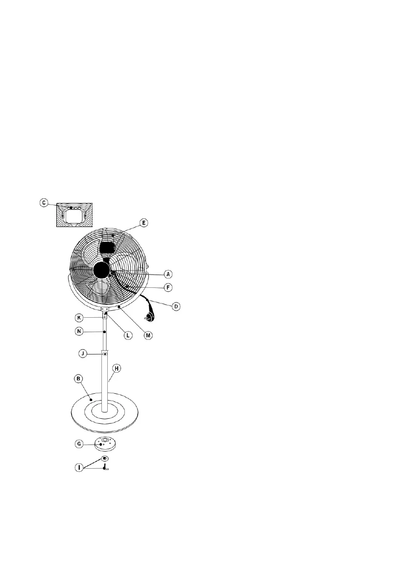 Page #13 background image