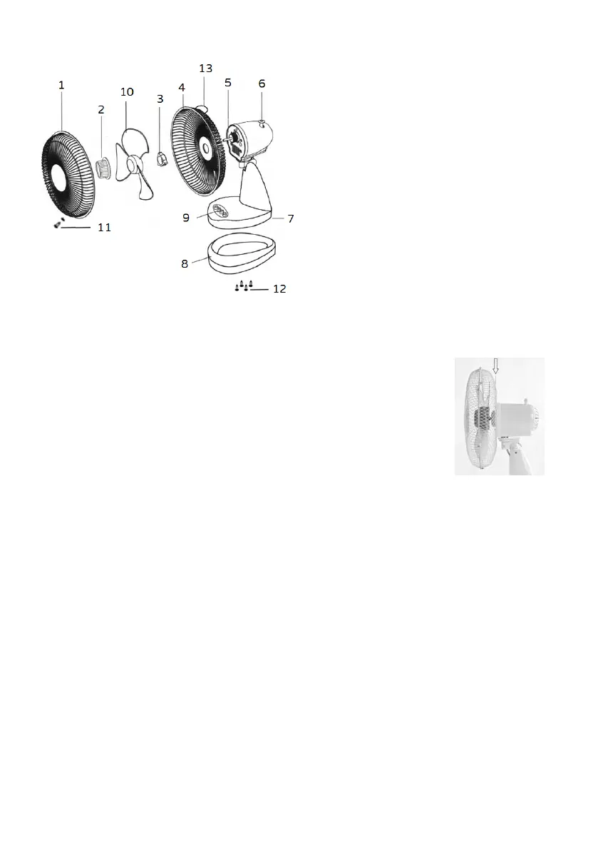 Page #7 background image