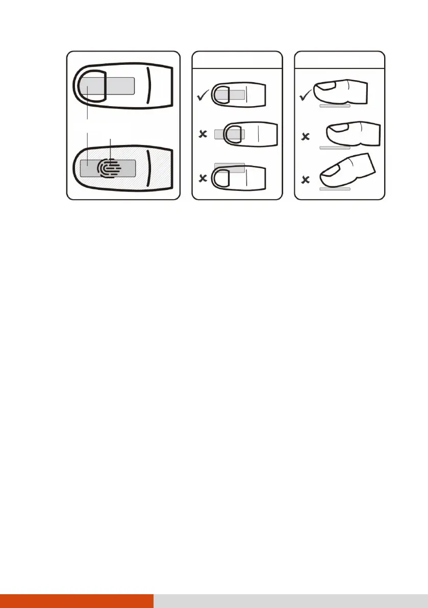 Page #43 background image