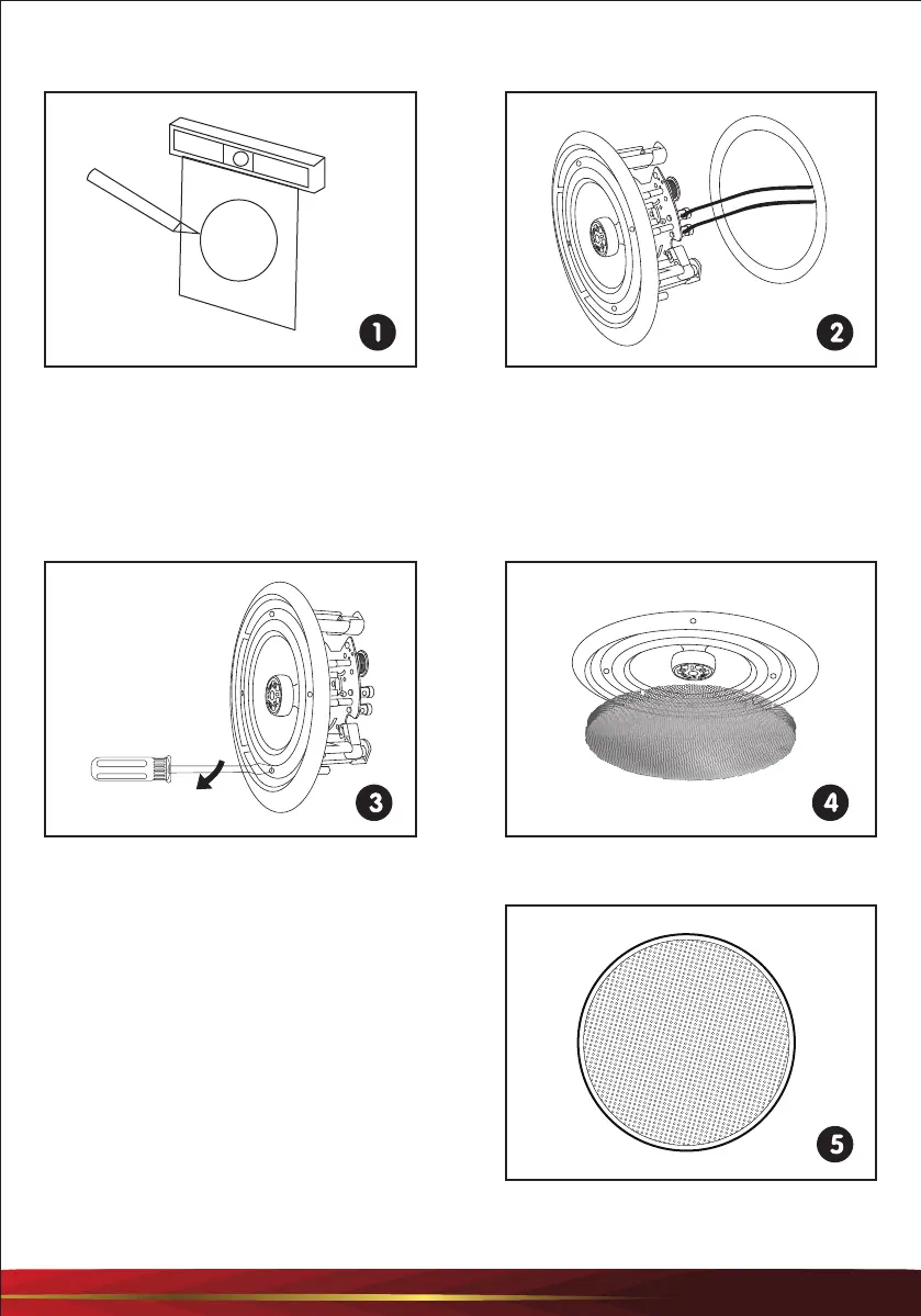 Page #2 background image