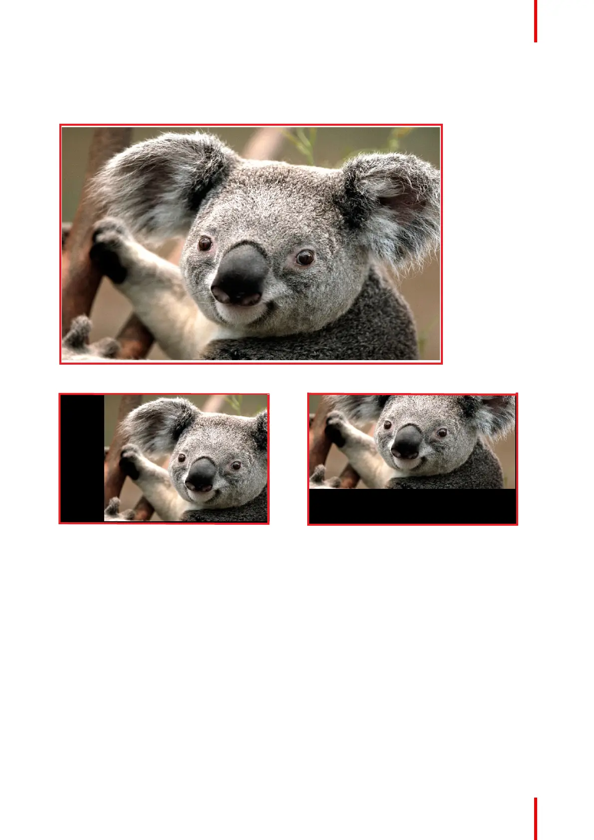 Page #97 background image