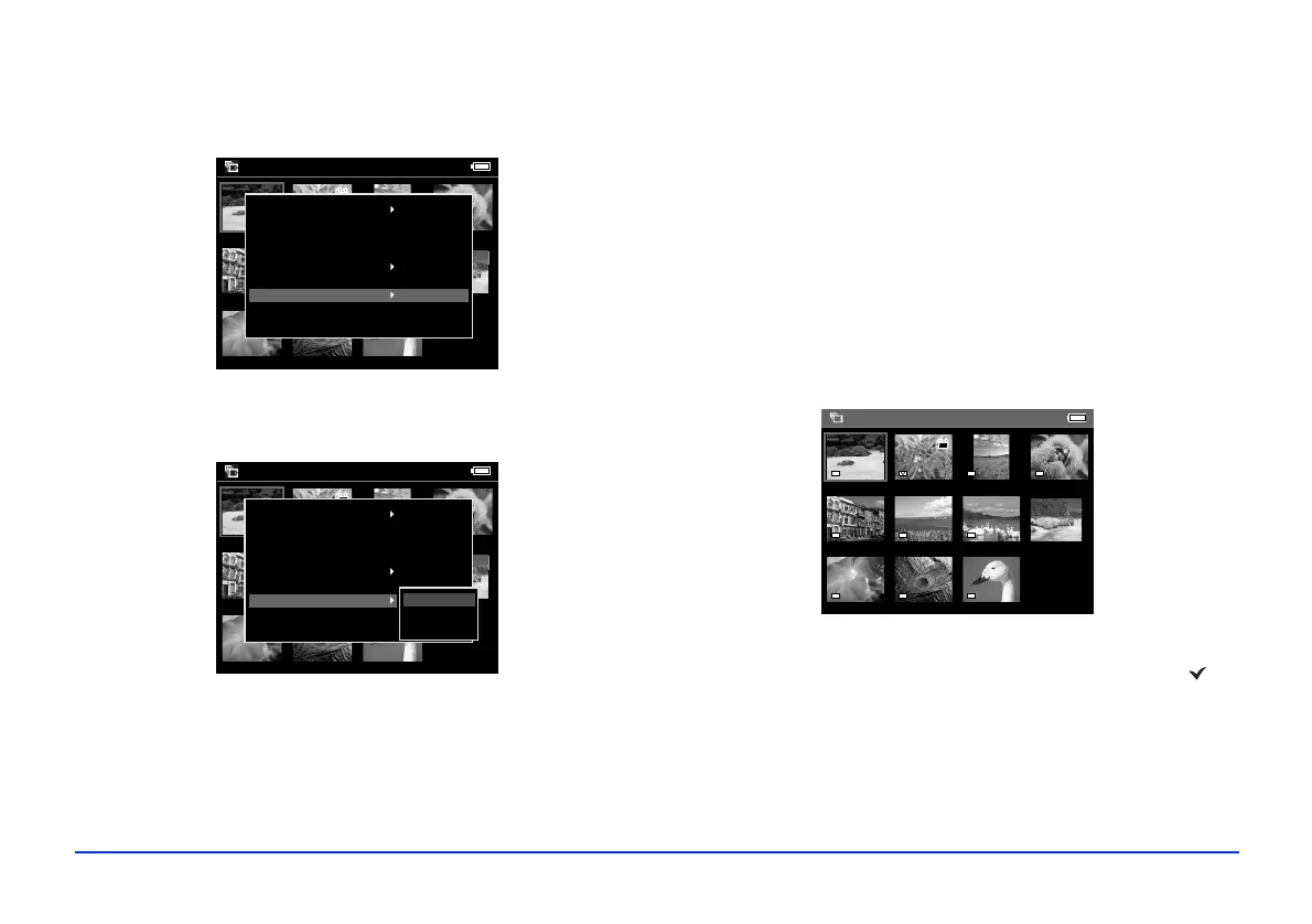 Page #36 background image