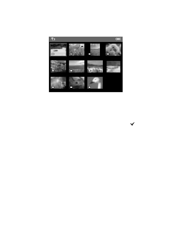 Page #41 background image