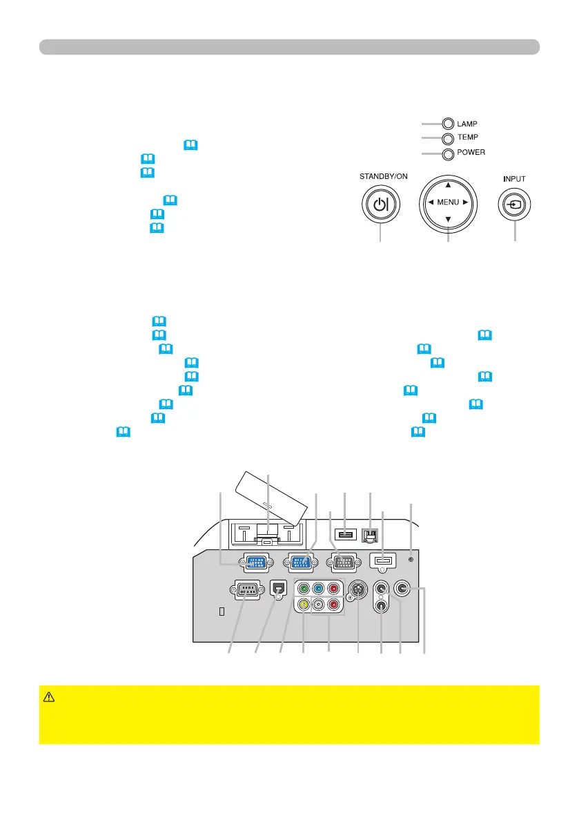Page #5 background image