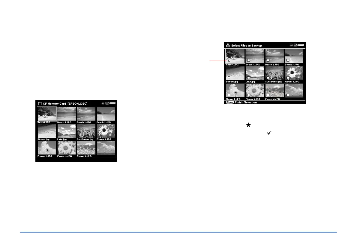 Page #20 background image