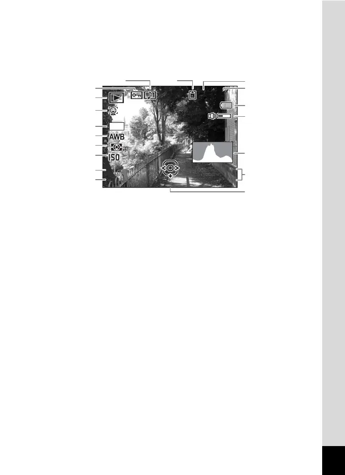 Page #31 background image