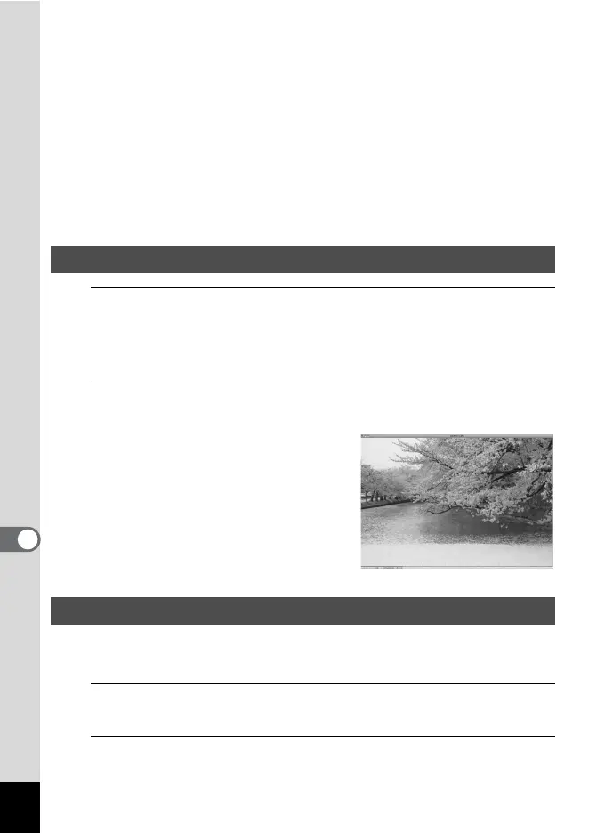 Page #234 background image