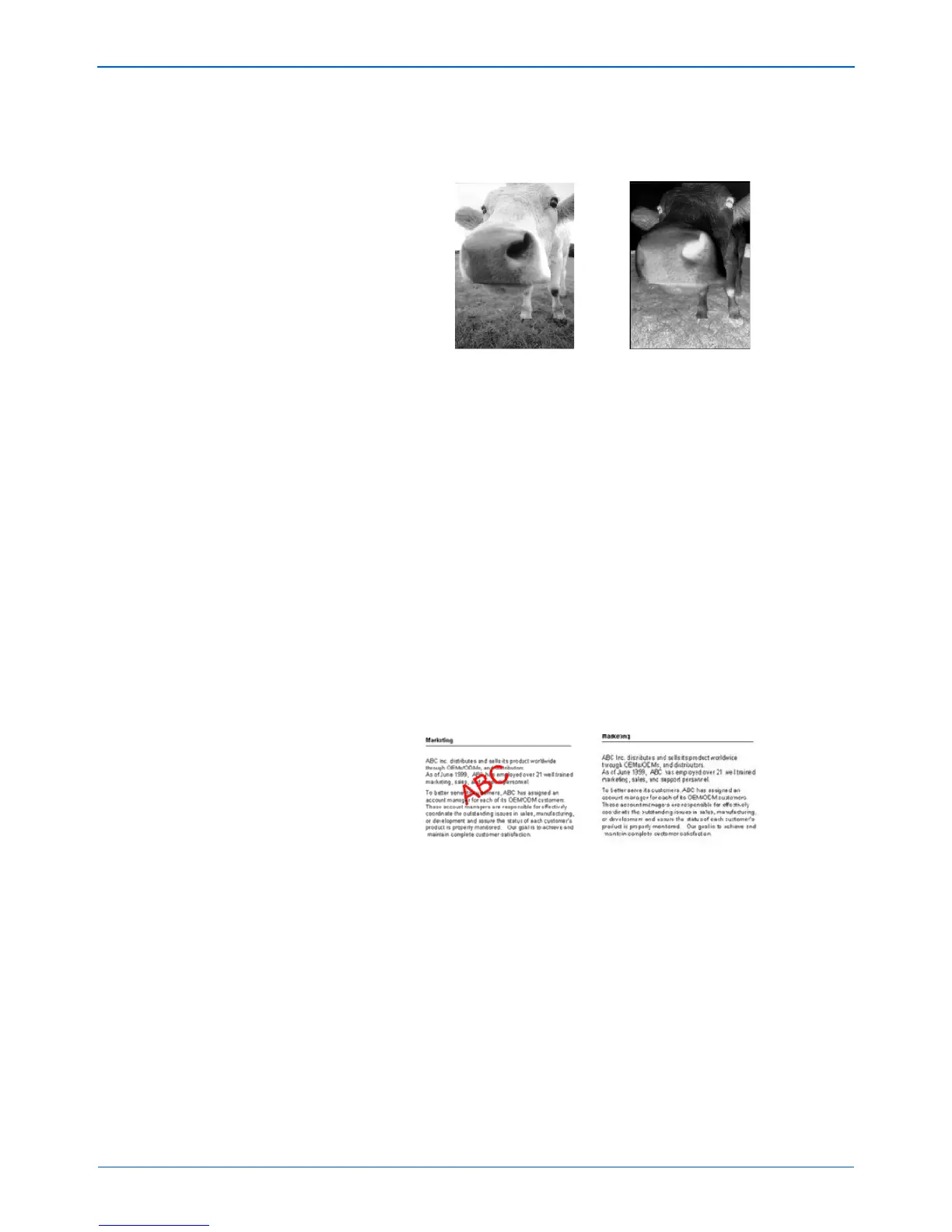 Page #44 background image
