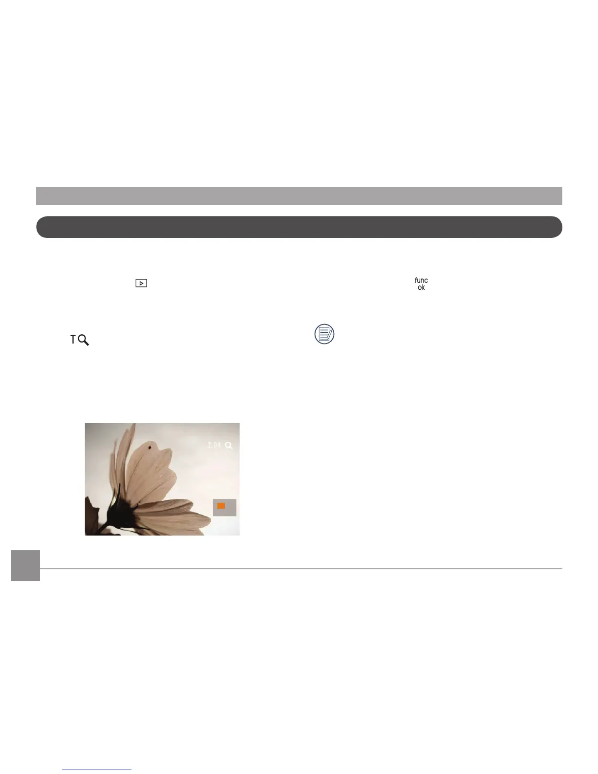 Page #43 background image