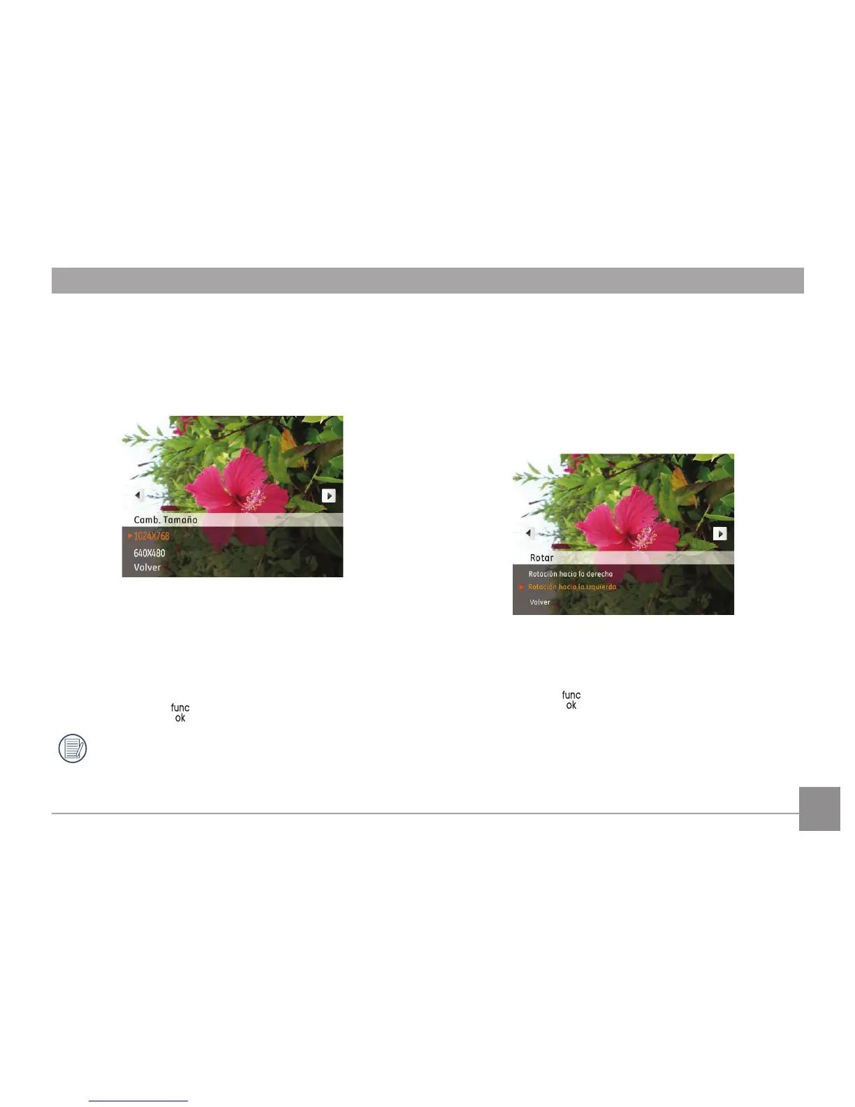 Page #58 background image