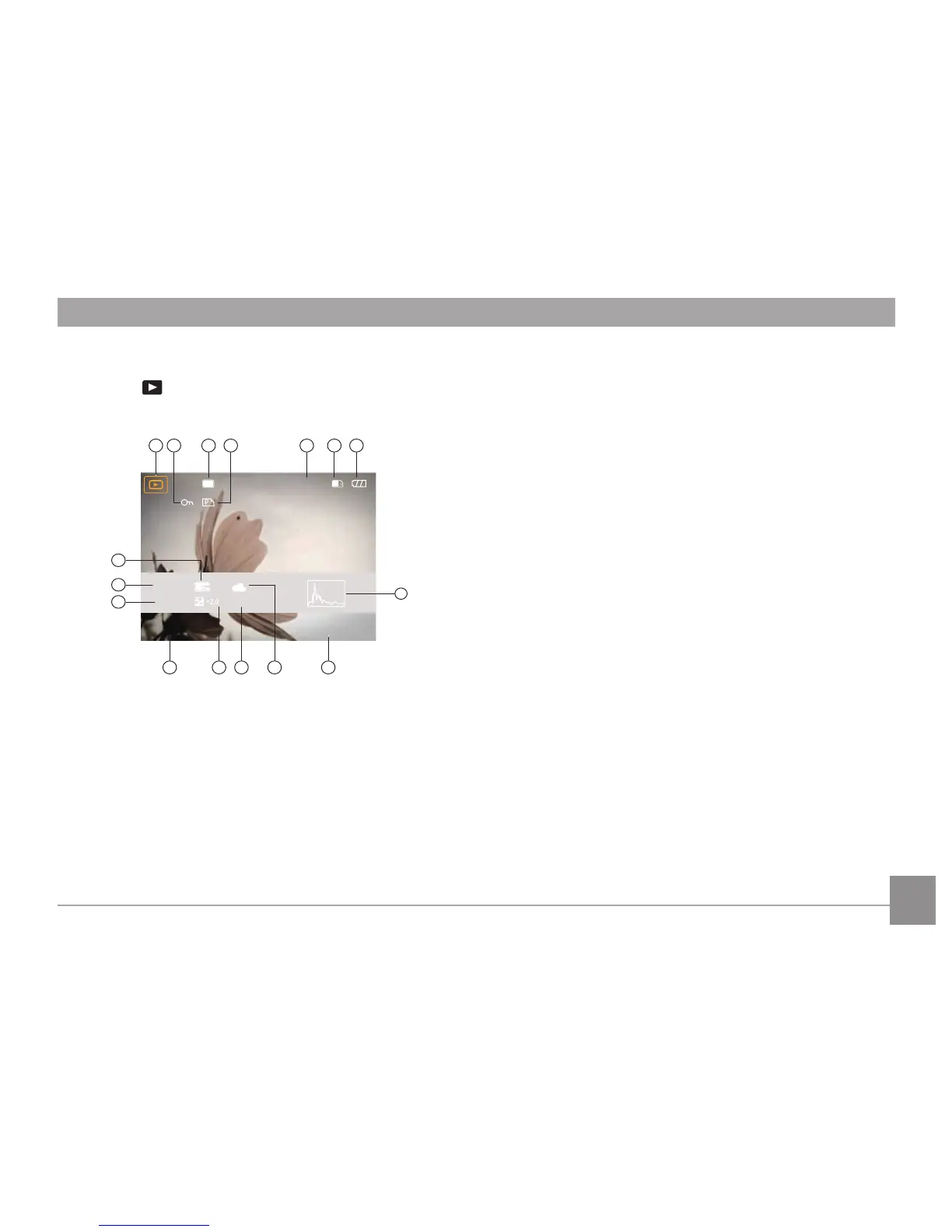 Page #33 background image