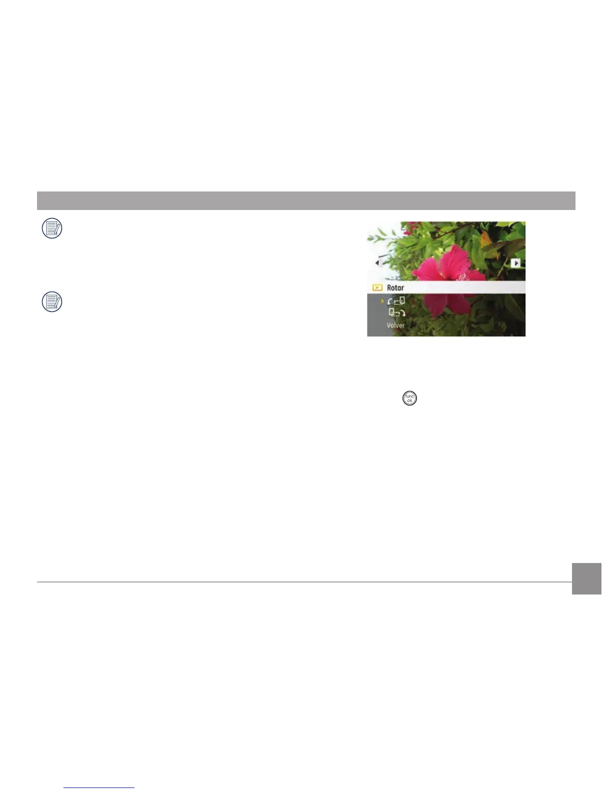 Page #61 background image
