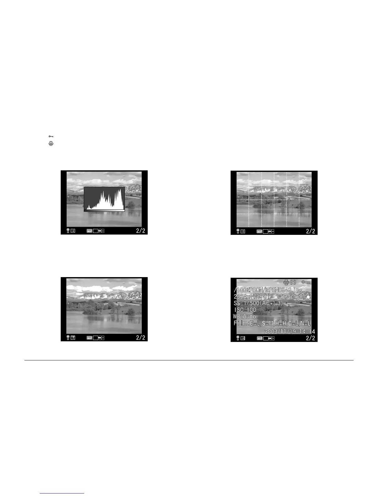 Page #36 background image