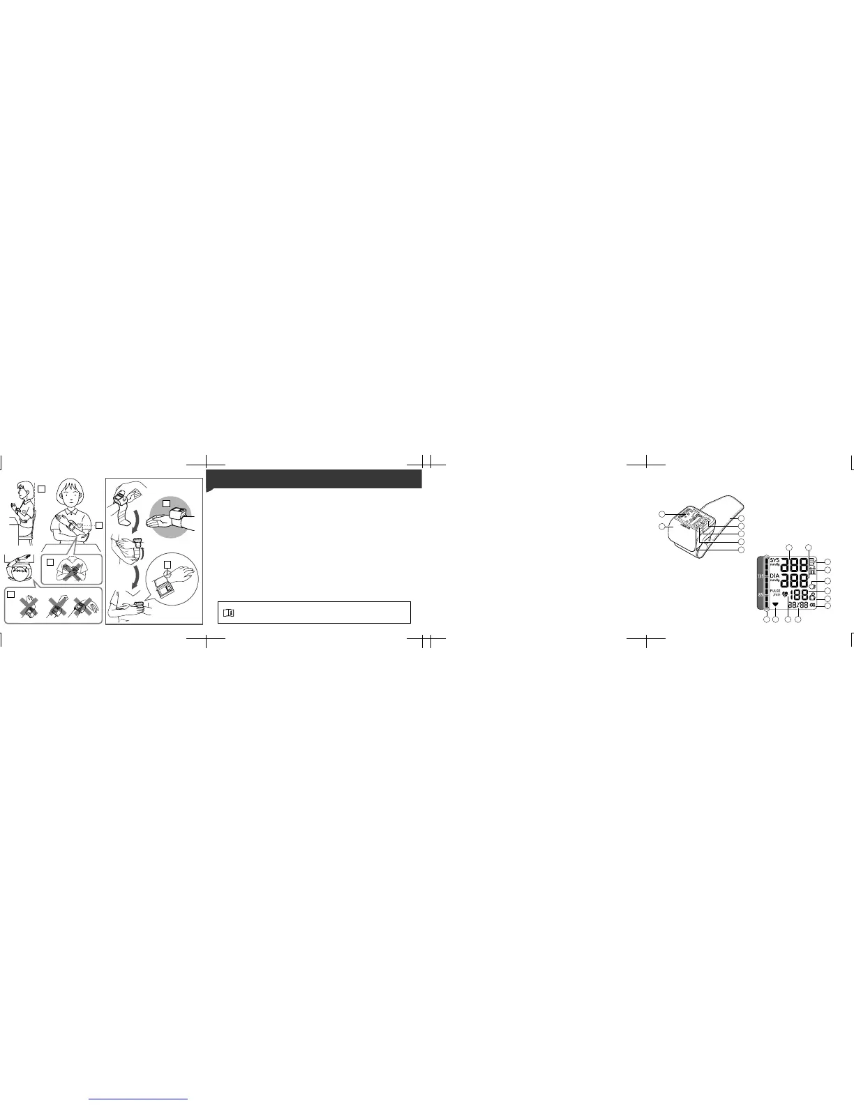Page #2 background image