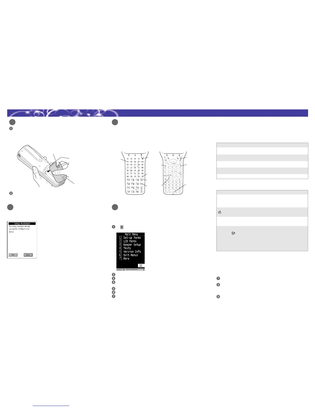 Page #2 background image