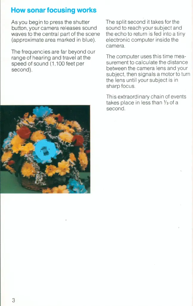 Page #3 background image