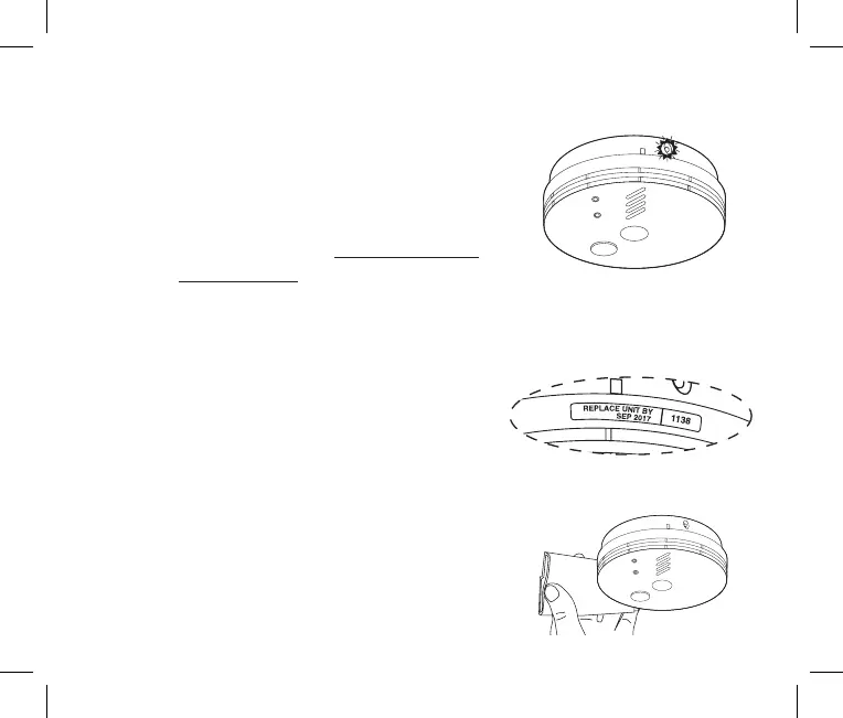 Page #21 background image