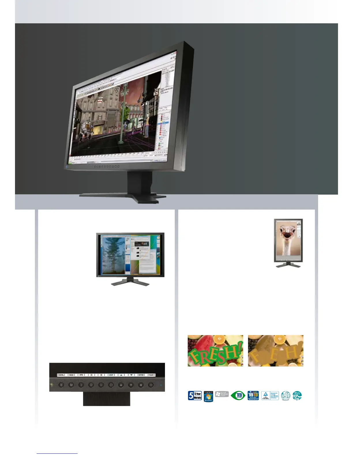 Page #5 background image