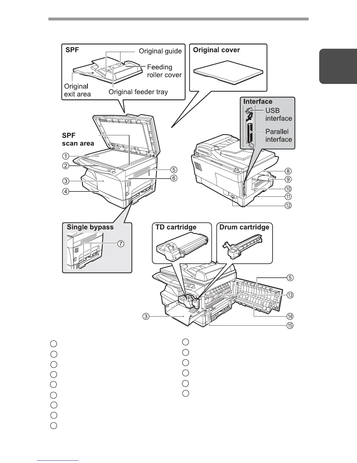 Page #7 background image
