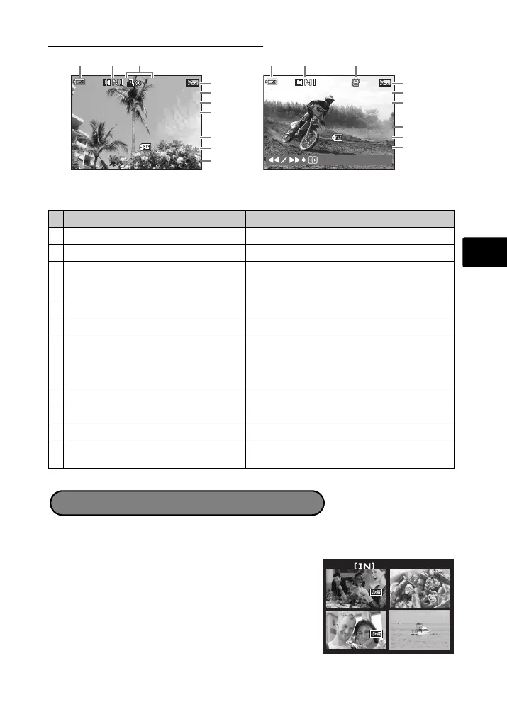 Page #43 background image