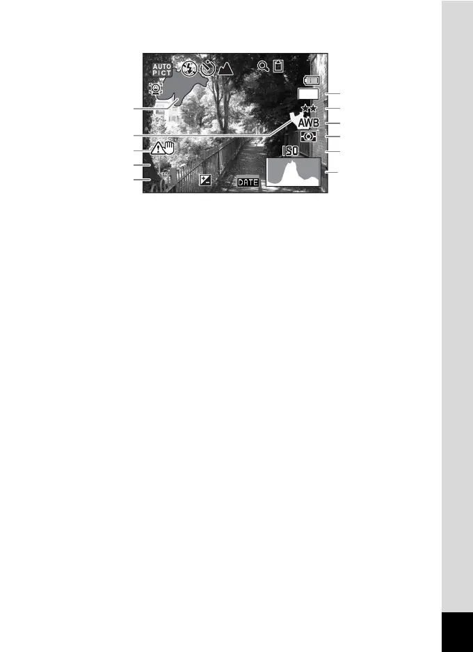 Page #21 background image