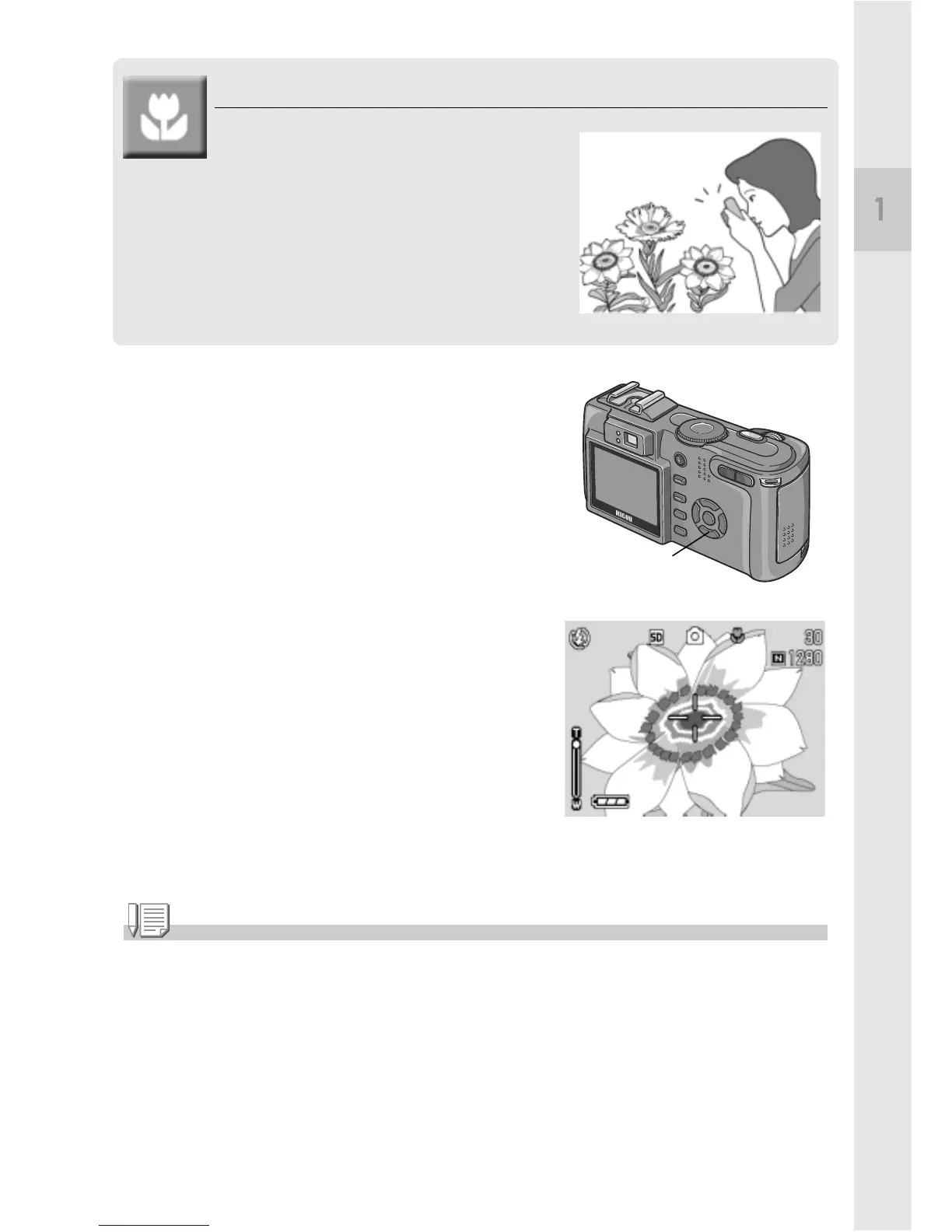 Page #41 background image