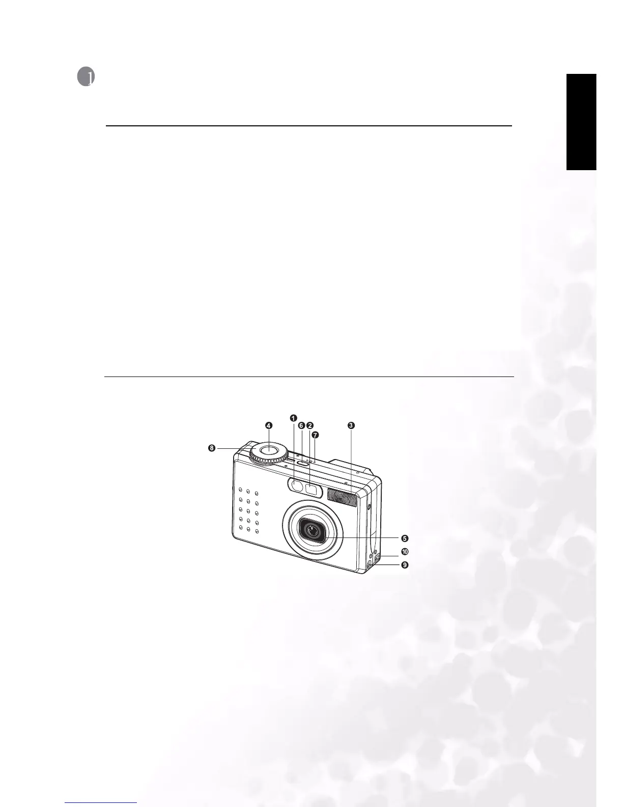 Page #5 background image