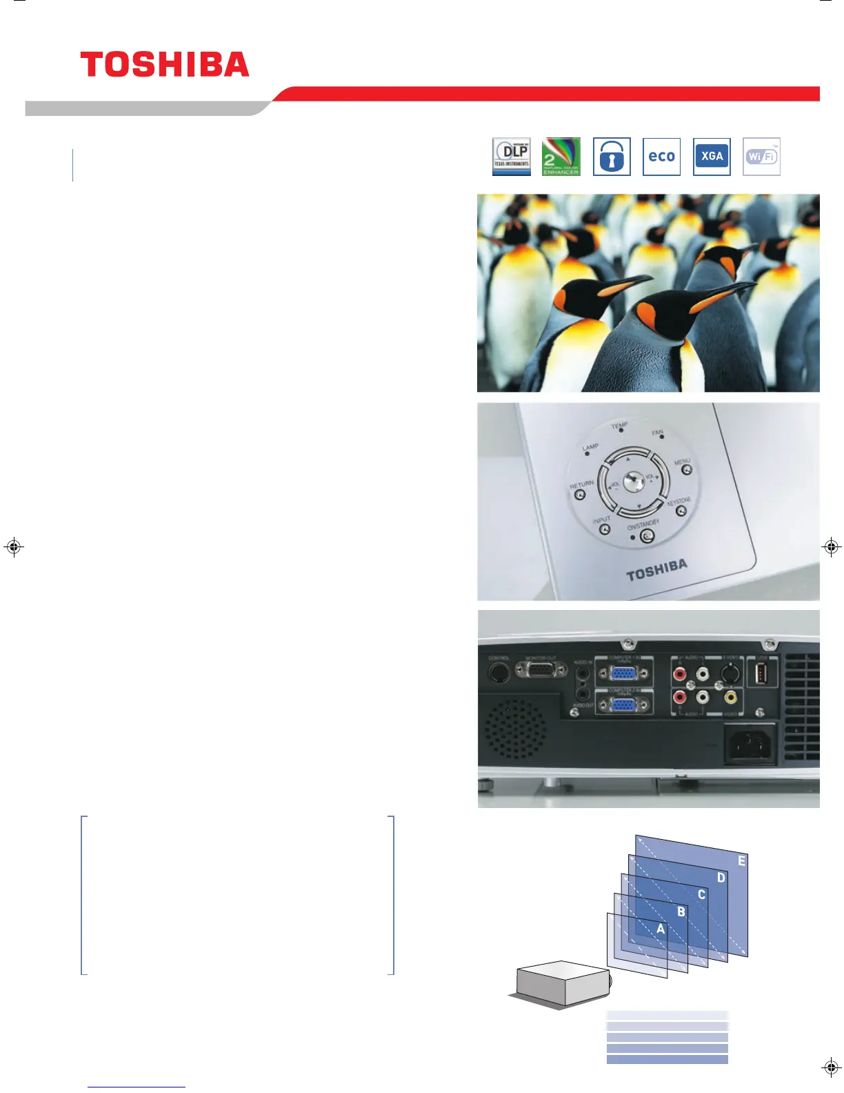 Page #2 background image