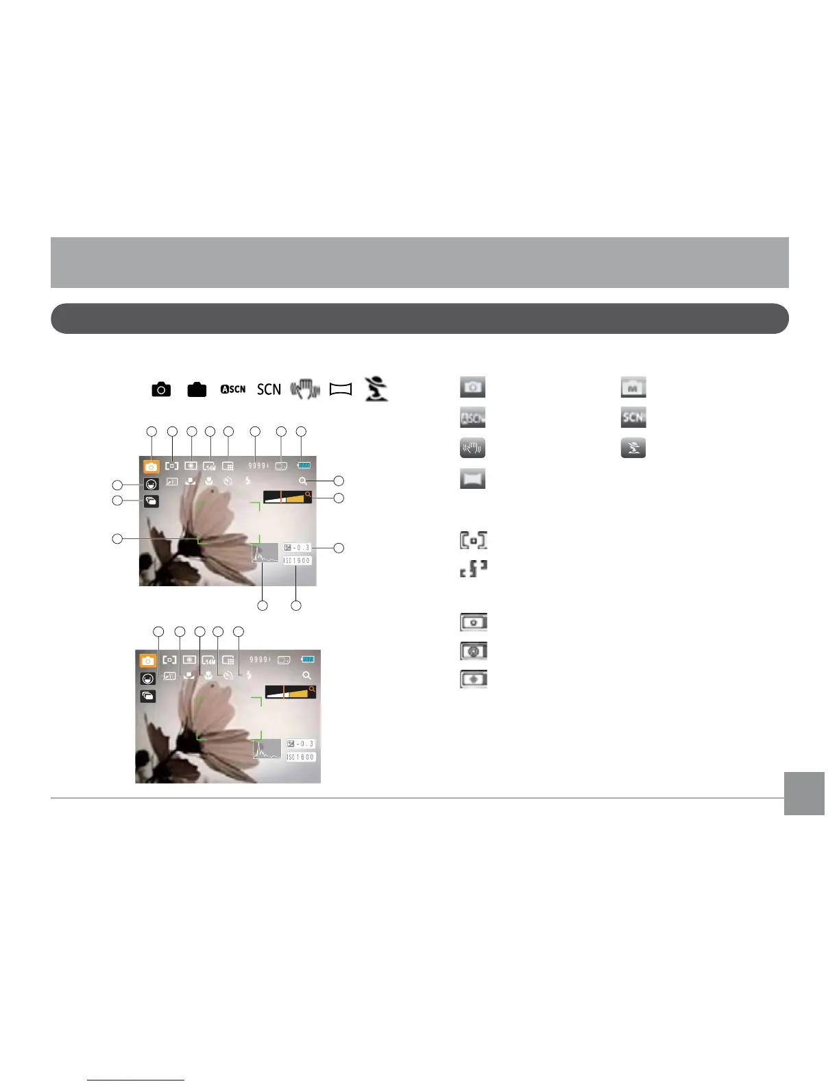 Page #30 background image