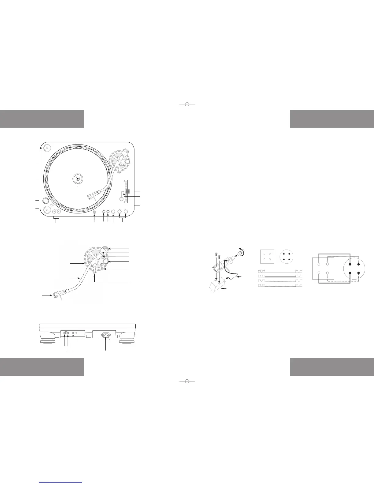 Page #3 background image