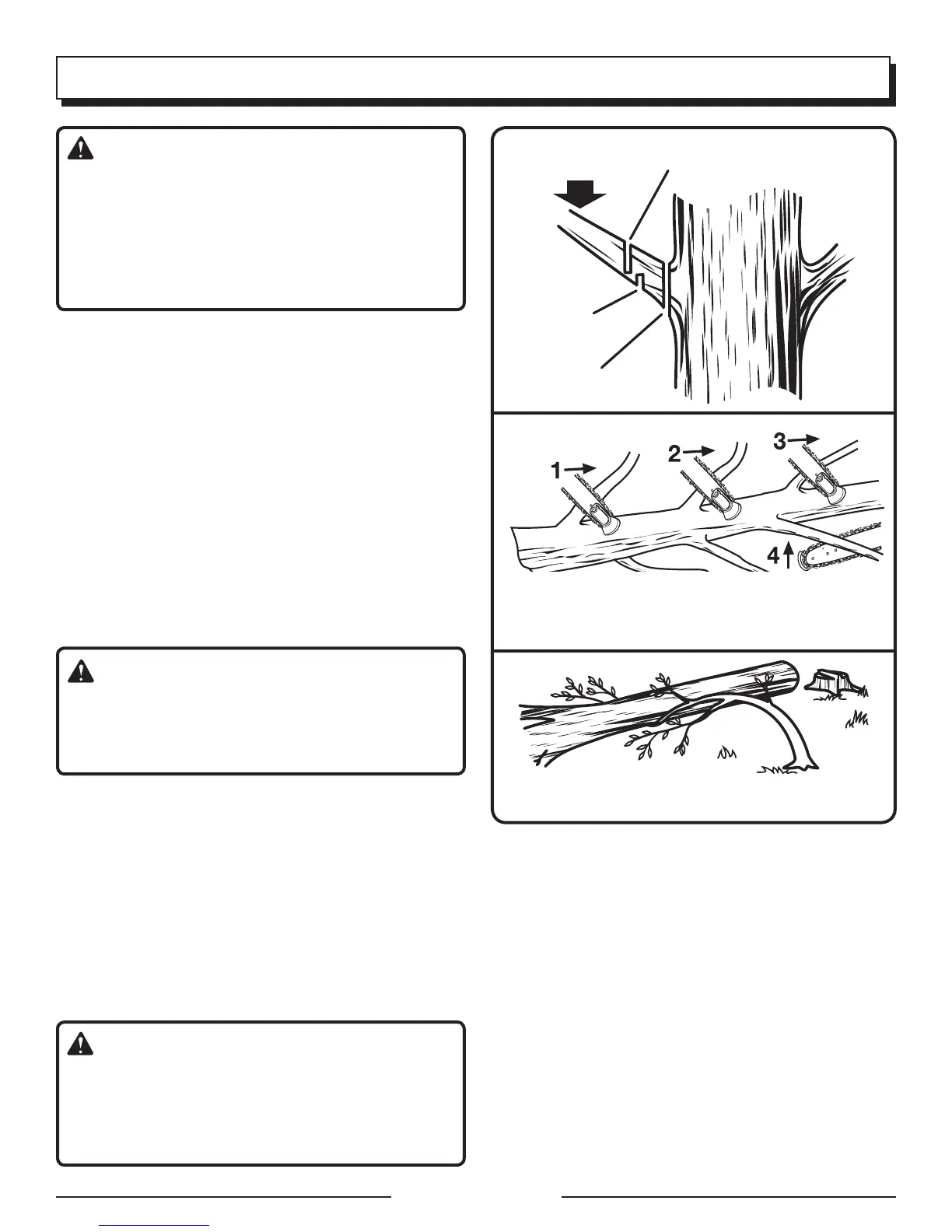 Page #63 background image